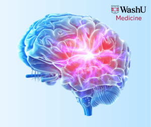 Illustration of a human brain in blue hues with glowing red and pink neural activity, symbolizing brain function. WashU Medicine logo in upper right.